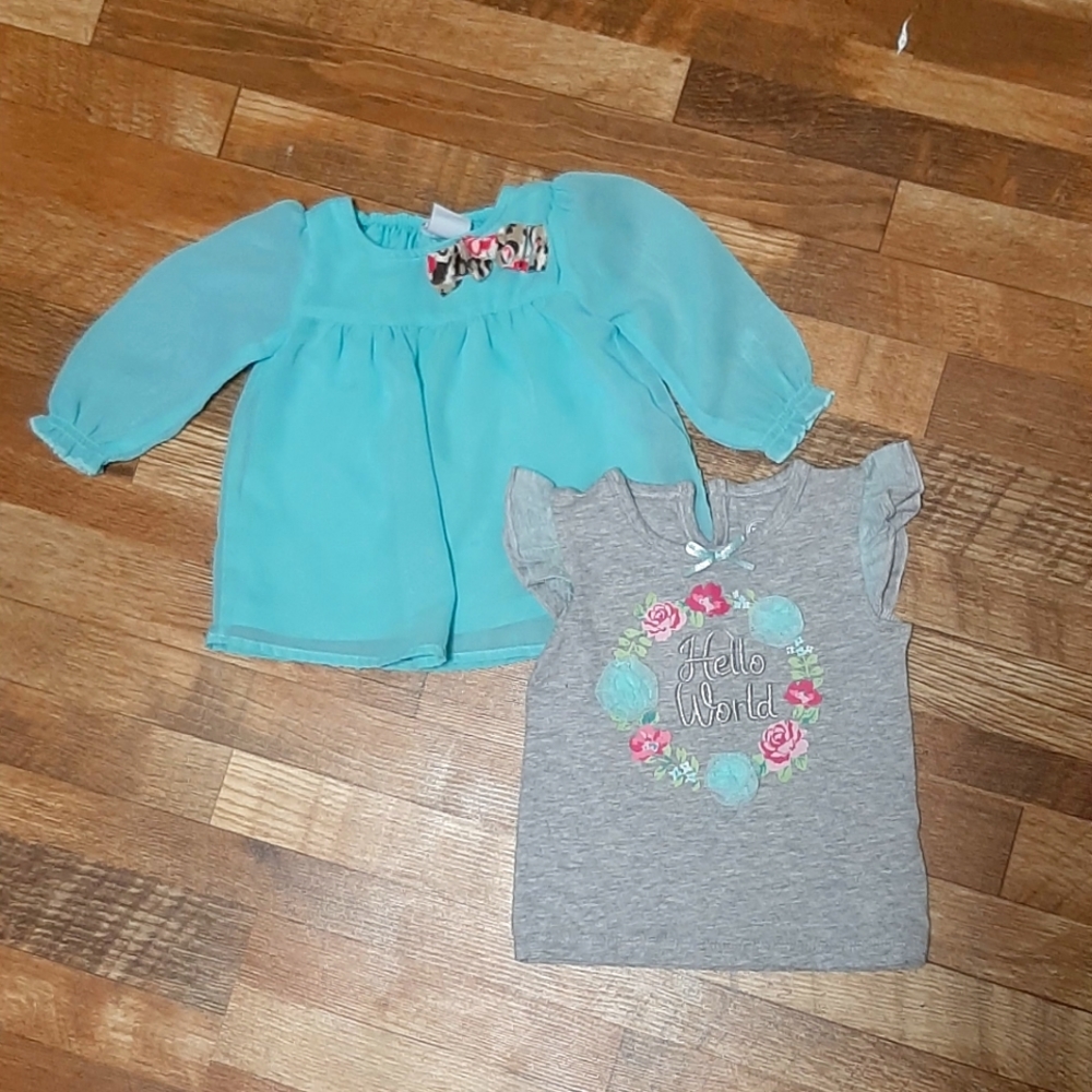 Baby girl 6 mo shirts x 2